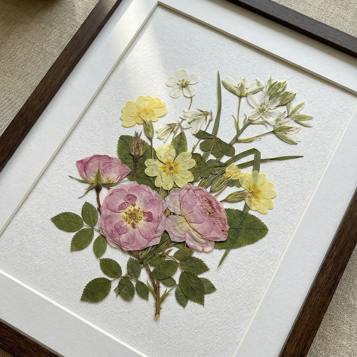 Melodia di Rose Vellutate