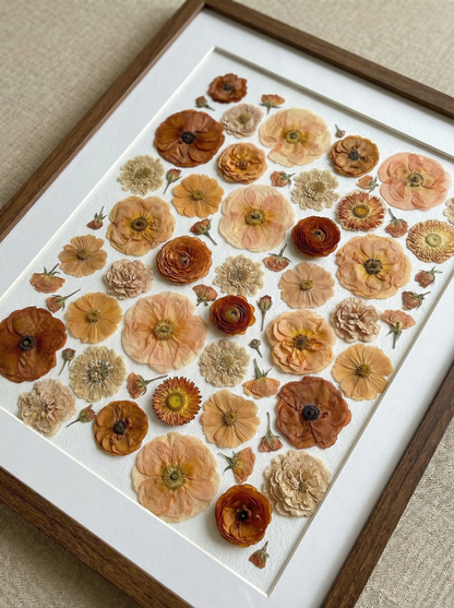 La Collezione Terracotta