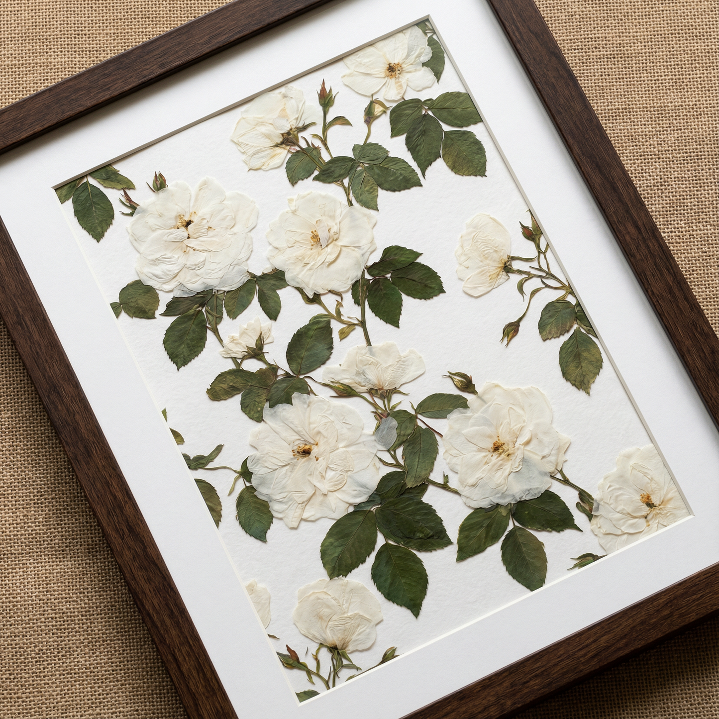 Armonia di Petali Bianchi