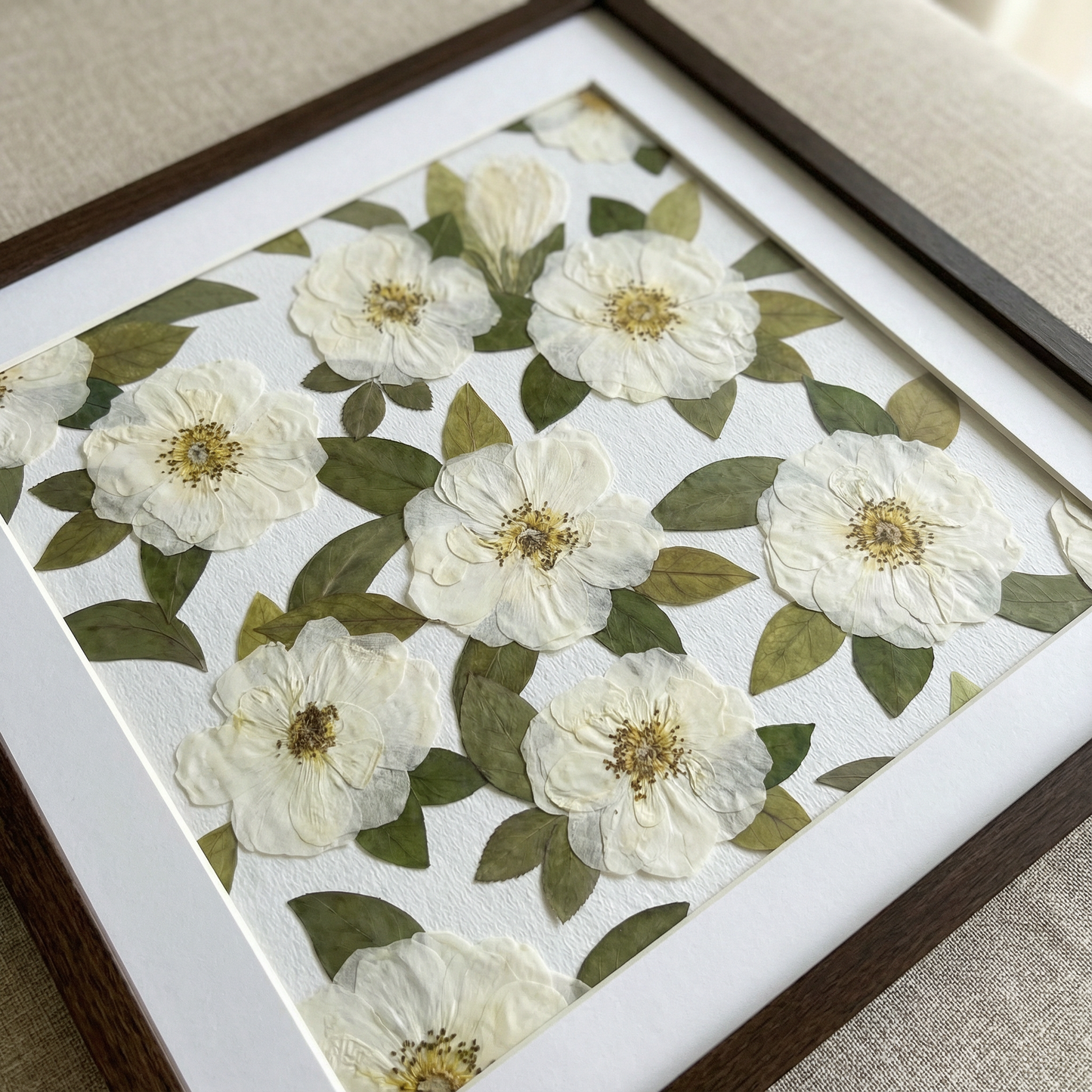 Calma del Giardino d’Avorio