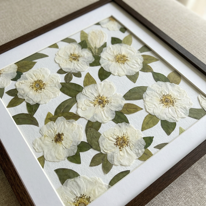 Calma del Giardino d’Avorio