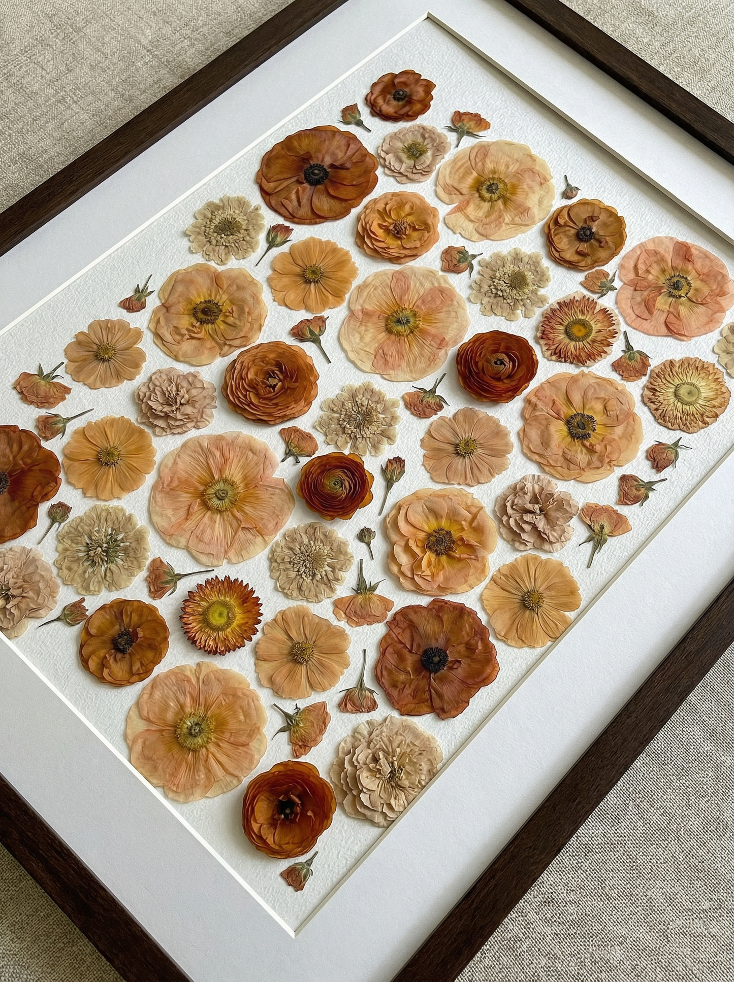 La Collezione Terracotta