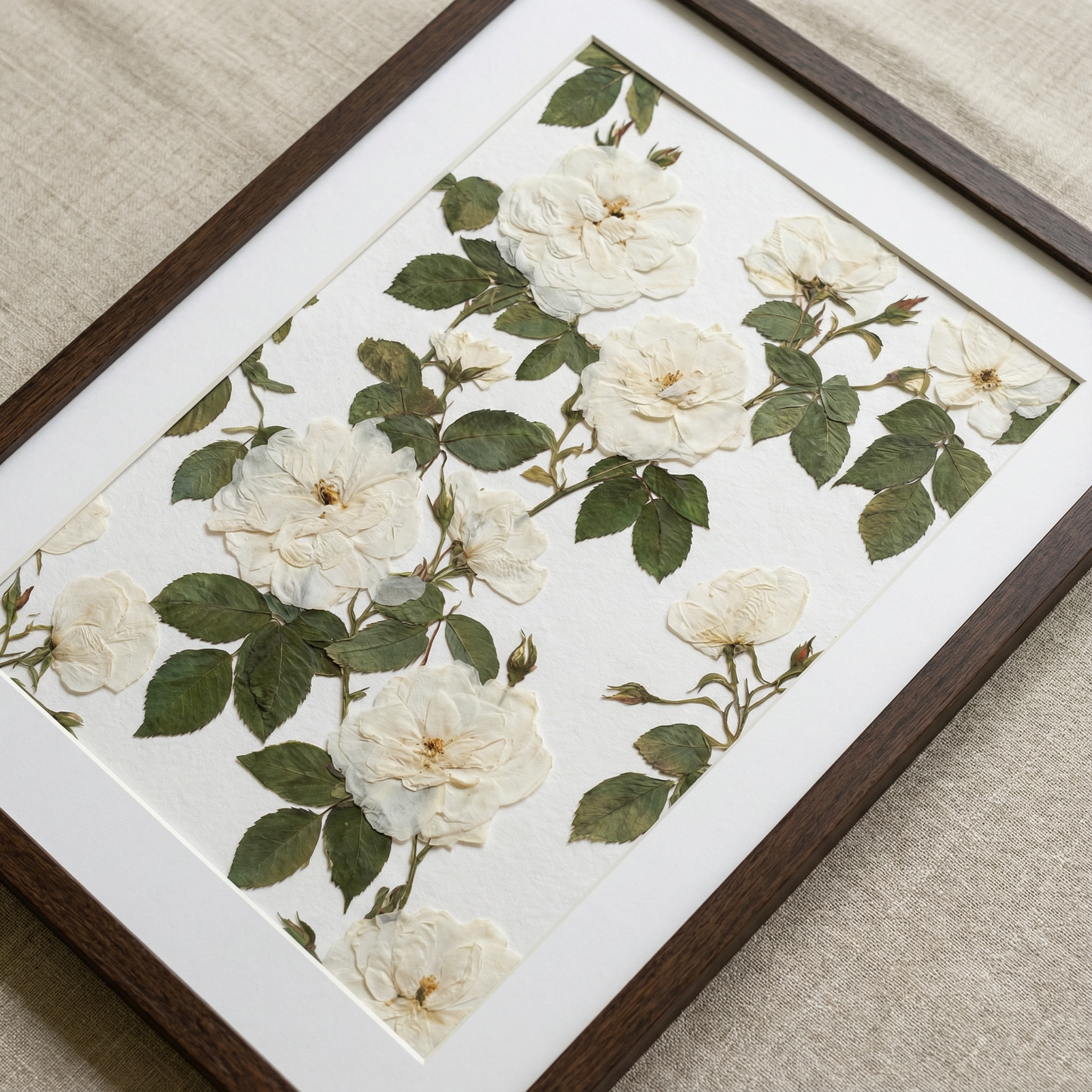 Armonia di Petali Bianchi