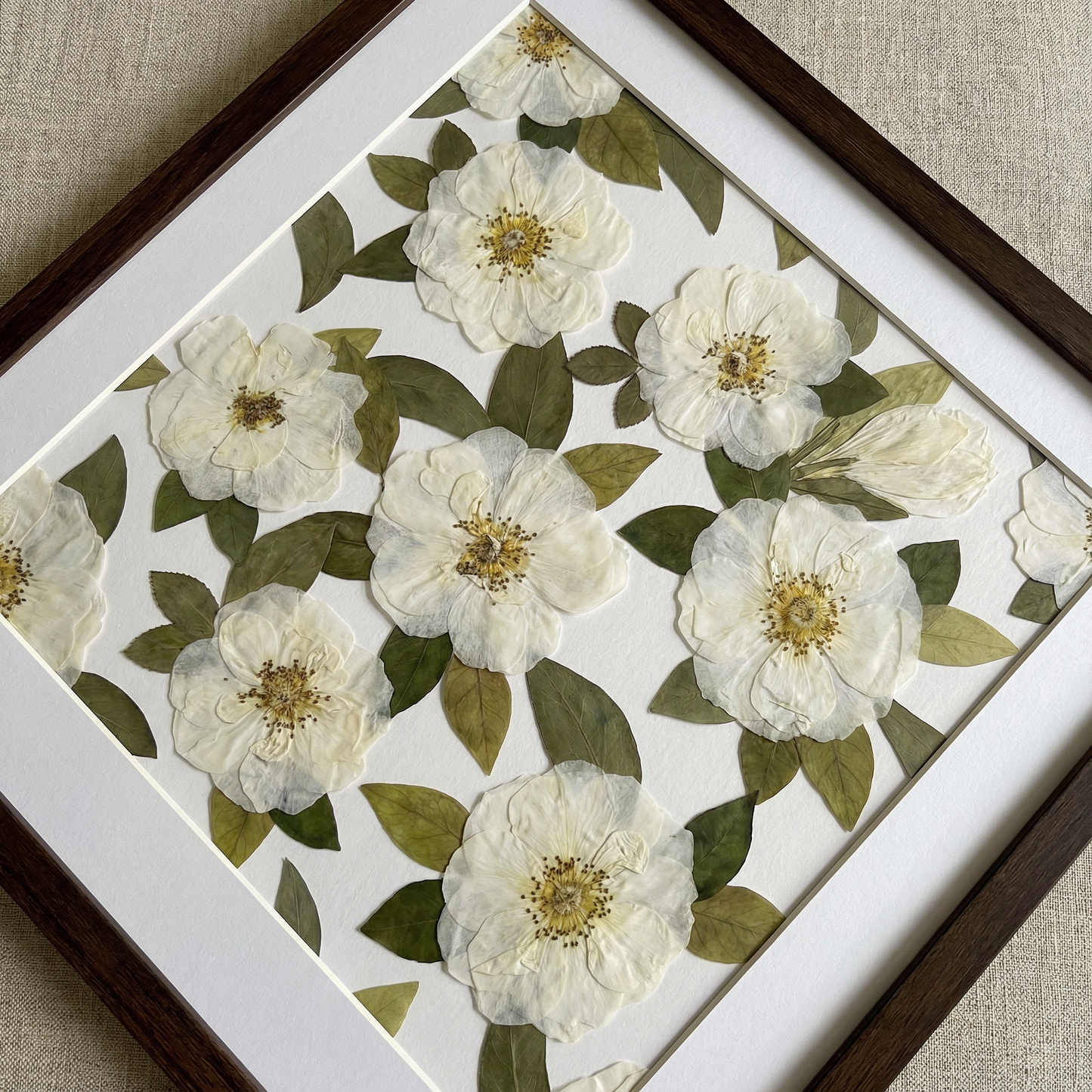 Calma del Giardino d’Avorio