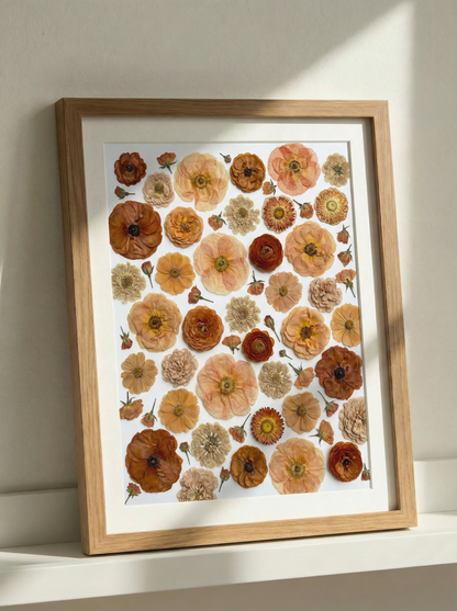 La Collezione Terracotta