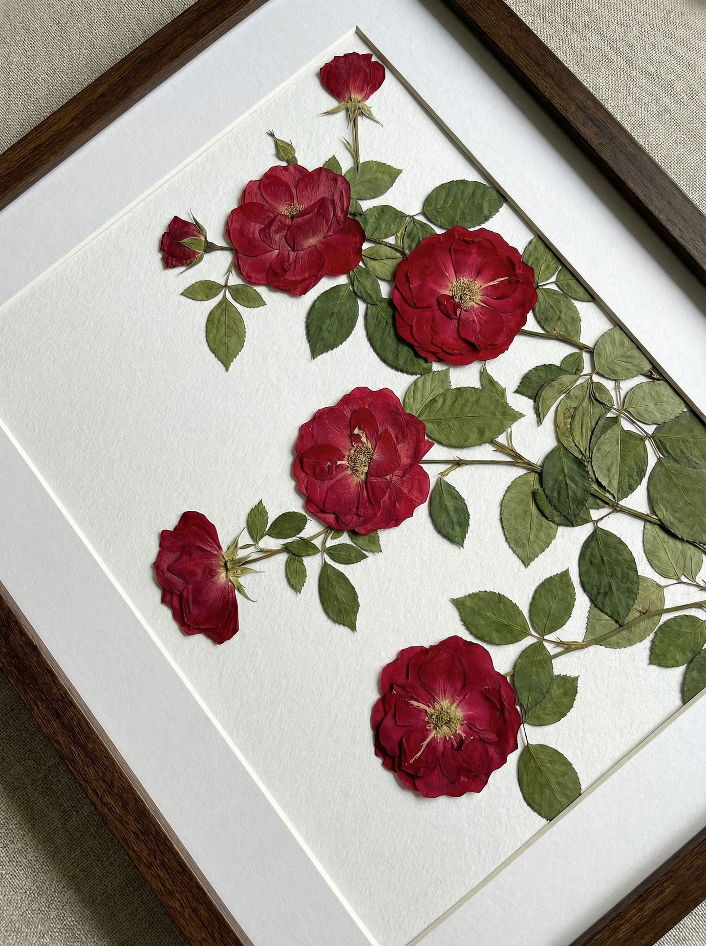 Scarlatto Rampicante