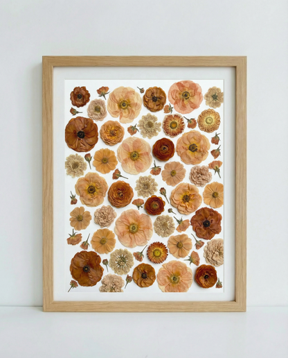 La Collezione Terracotta