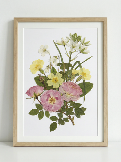 Melodia di Rose Vellutate