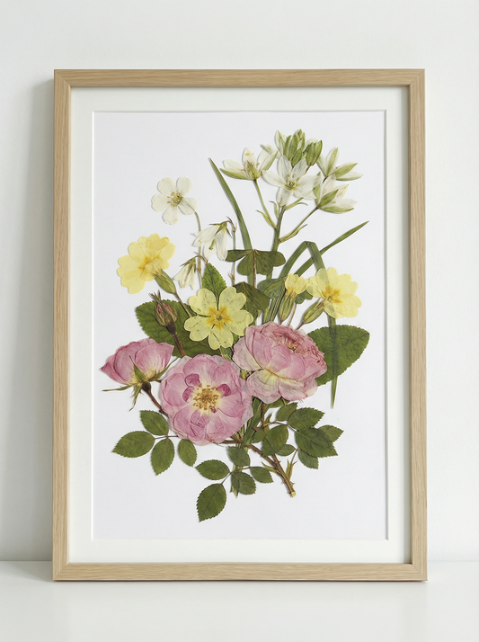 Melodia di Rose Vellutate