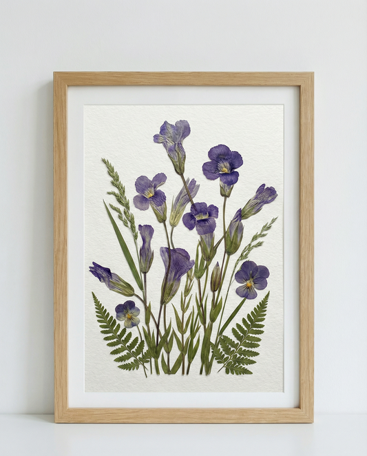 Serenità dell’Iris Selvatico