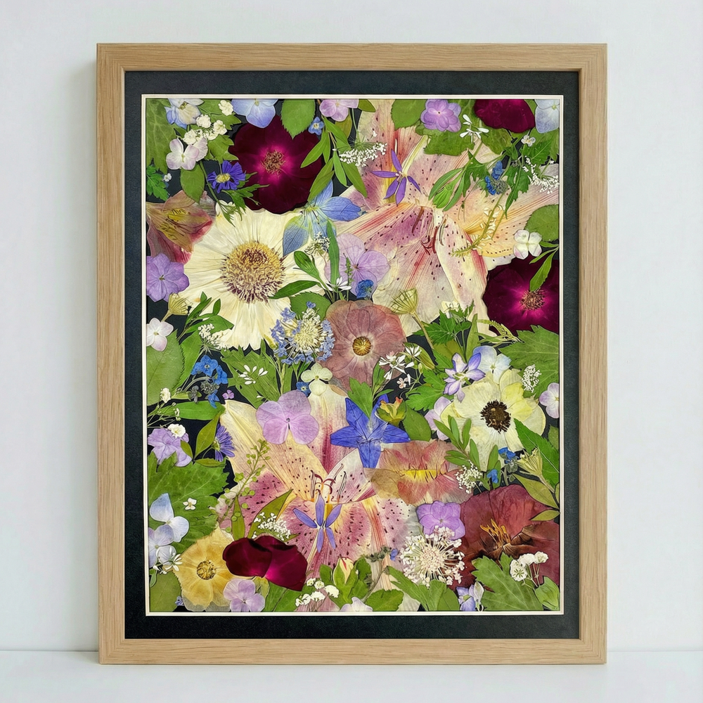11 × 12,5 Stelle Scintillanti