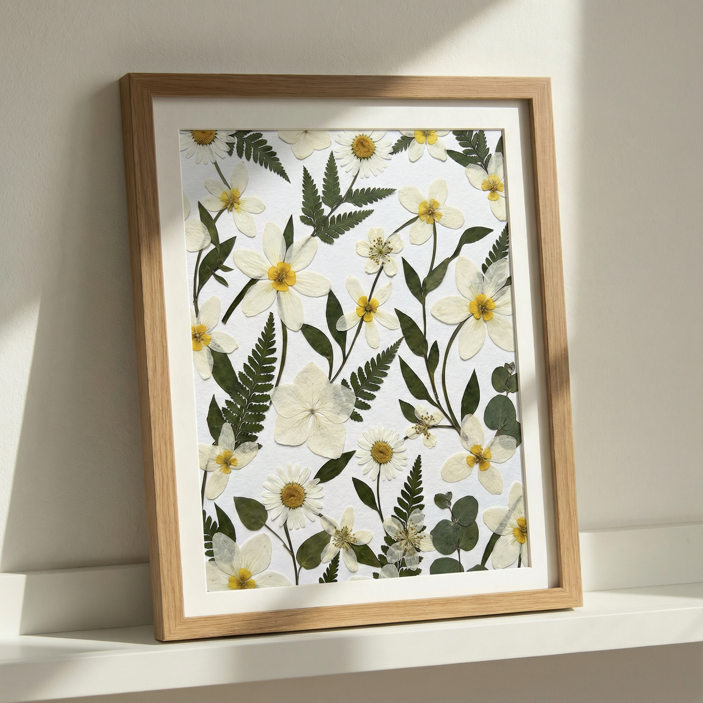 Campi di Margherite Selvatiche