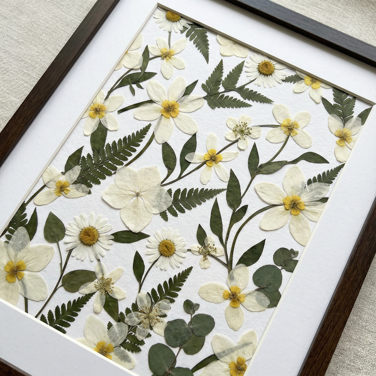 Campi di Margherite Selvatiche