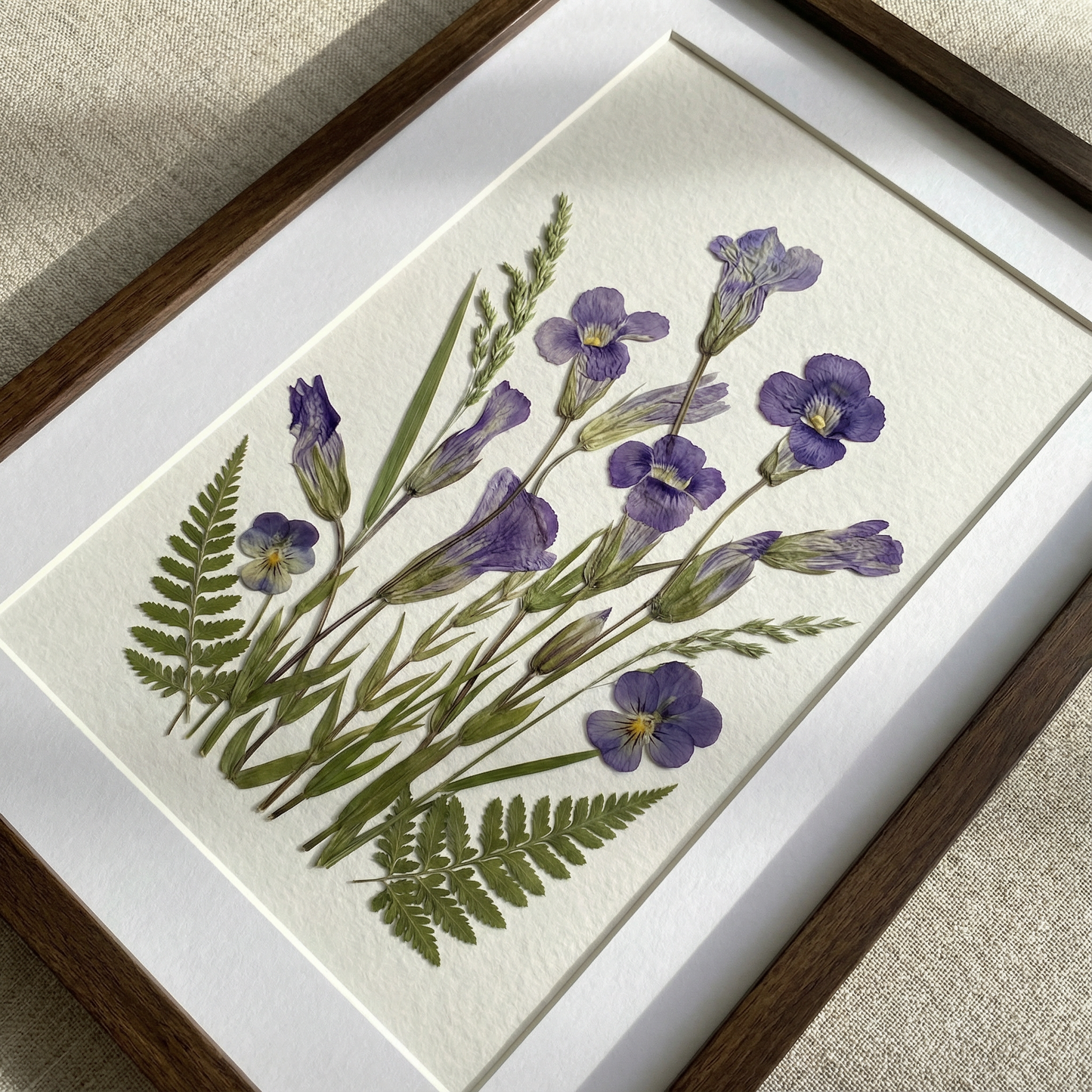 Serenità dell’Iris Selvatico