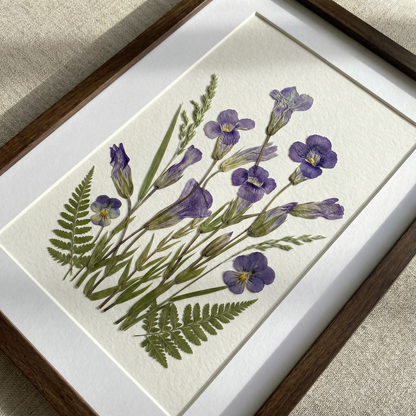 Serenità dell’Iris Selvatico