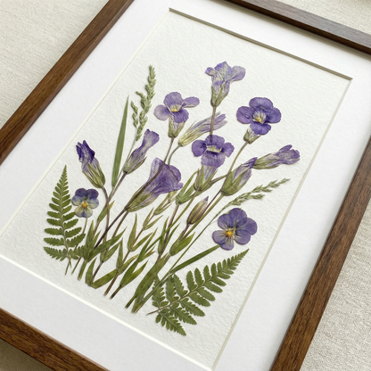 Serenità dell’Iris Selvatico