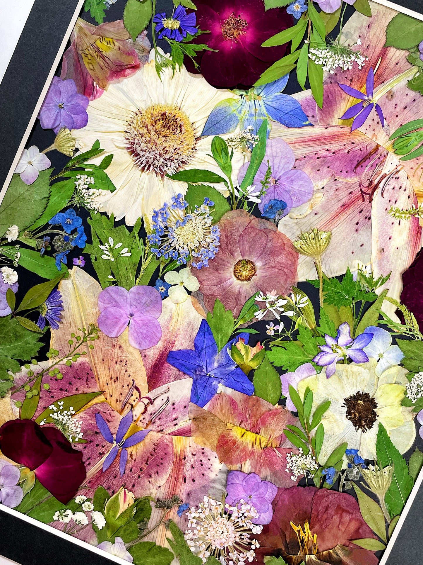 11 x 12.5 SPARKLE STARS