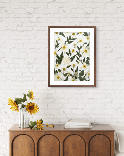 Campi di Margherite Selvatiche