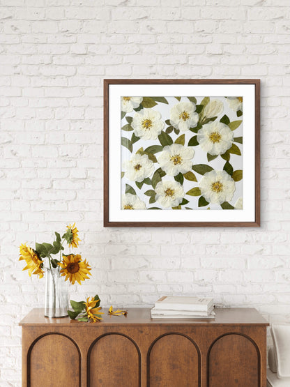 Calma del Giardino d’Avorio