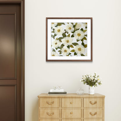 Calma del Giardino d’Avorio