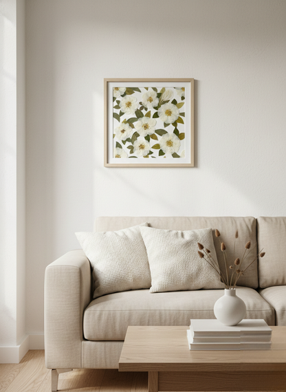 Calma del Giardino d’Avorio