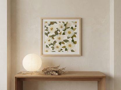 Calma del Giardino d’Avorio