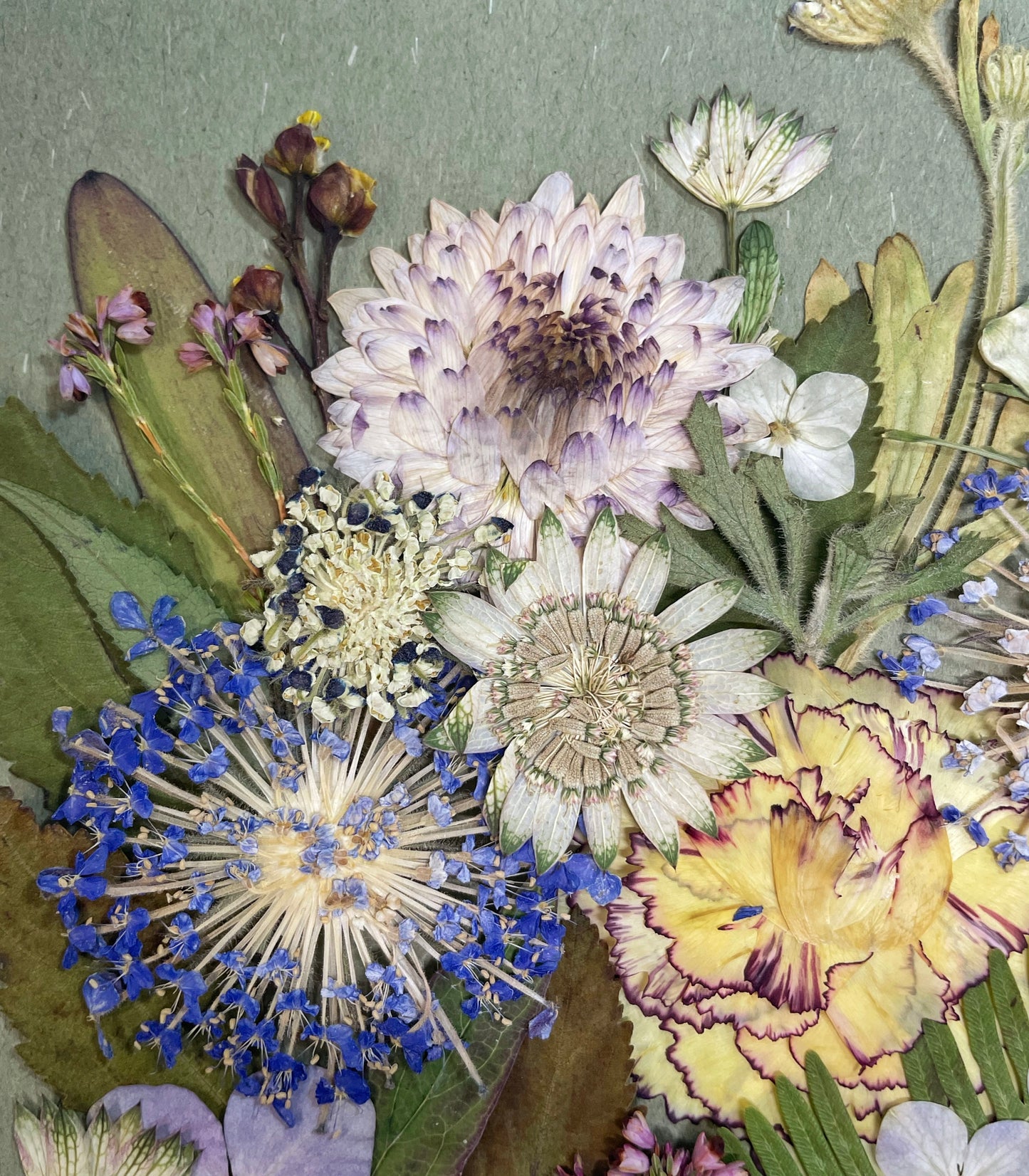 10 x 10 Summer Night Breeze