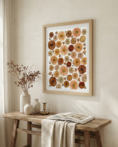 La Collezione Terracotta