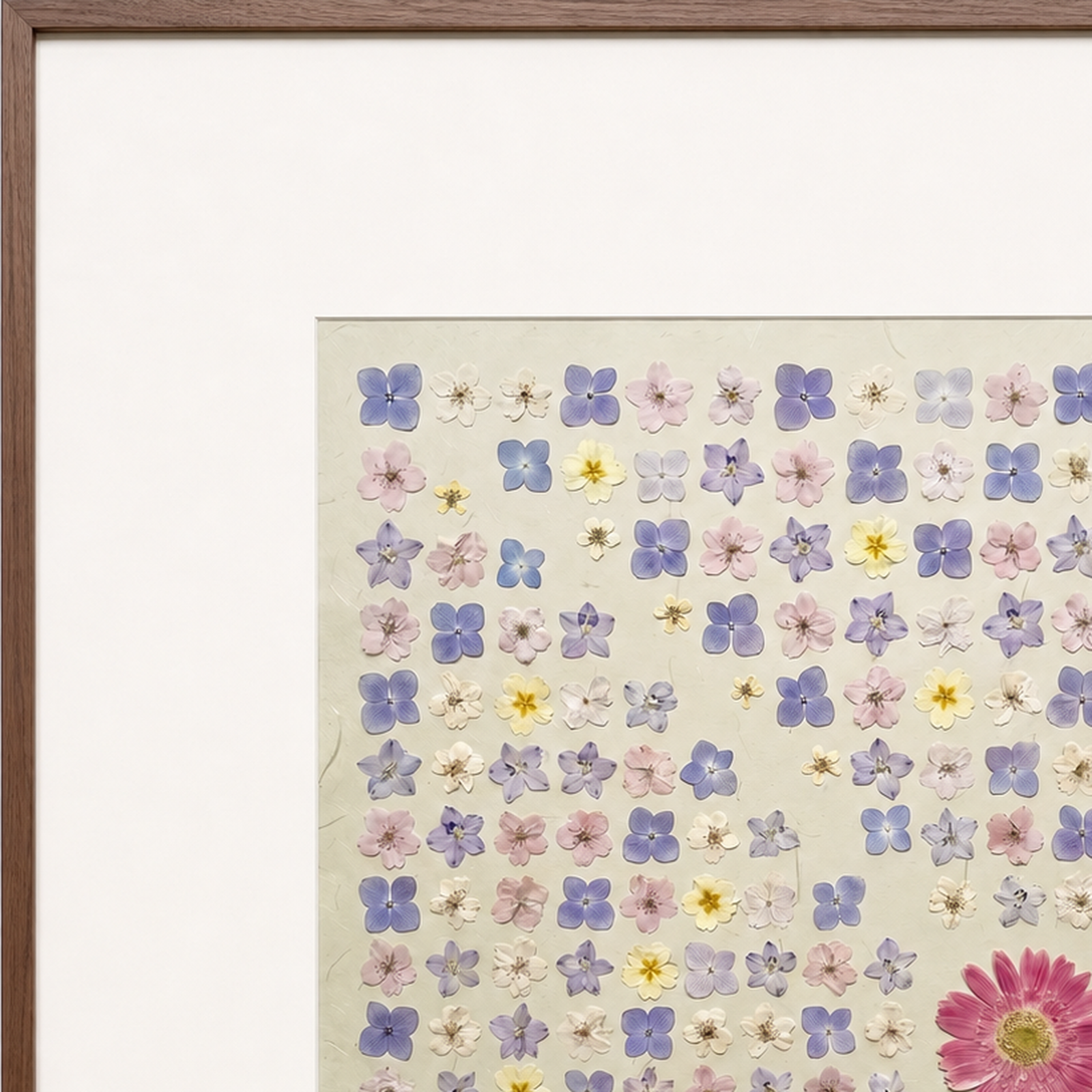Meadow Archive