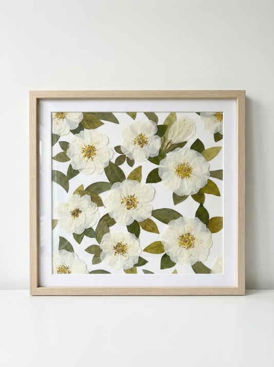 Calma del Giardino d’Avorio