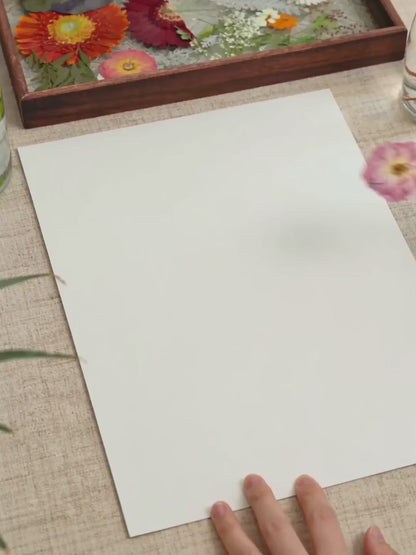 Farfalla dagli Ali di Petalo