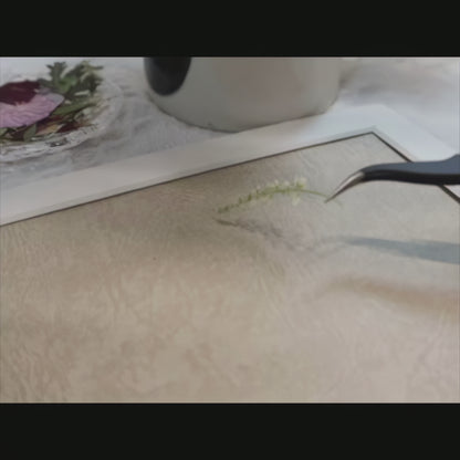 11 x 12.5 Petals Of The Moon