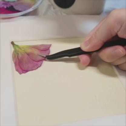 10 x 10 Wildflower Waltz