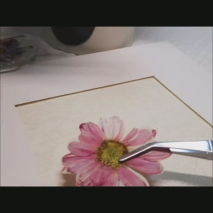 10 x 10 Whispers of Spring