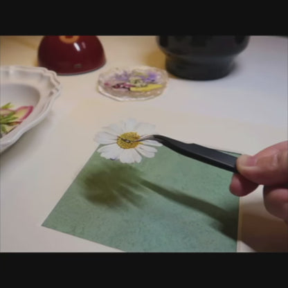 10 × 10 Sogno del Giardino