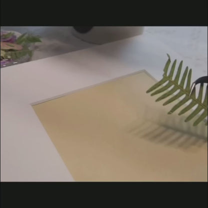 10 x 10 Sun- Kissed Garden