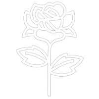 We Begin the Botanical Process